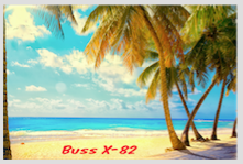 Buss X-82 small